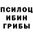Псилоцибиновые грибы прущие грибы GODZ1LLA
