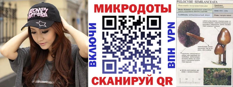 hydra рабочий сайт  Красный Кут  Псилоцибиновые грибы GOLDEN TEACHER 